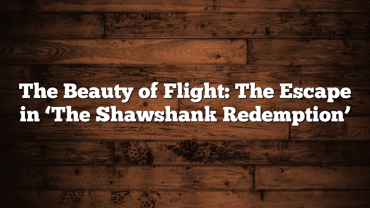 The Beauty of Flight: The Escape in ‘The Shawshank Redemption’
